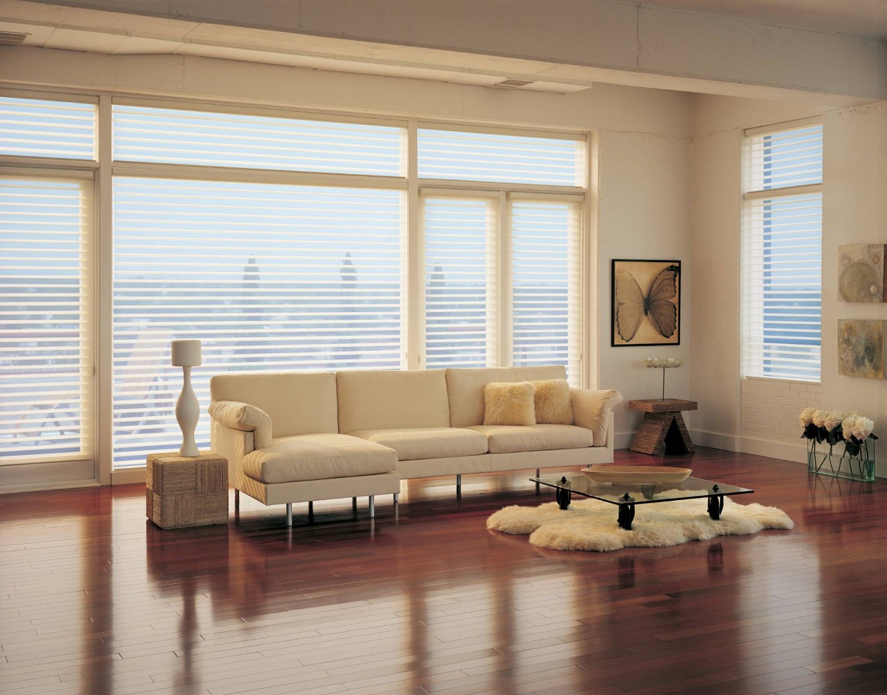 Hunter Douglas Silhouette® Sheer Shades near Santa Rosa, California (CA)